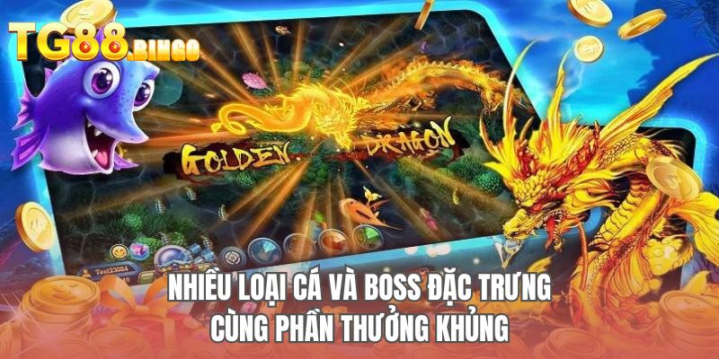Nhiều loại cá và BOSS đặc trưng cùng phần thưởng khủng