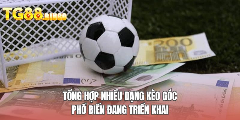 Tổng hợp nhiều dạng kèo góc phổ biến đang triển khai